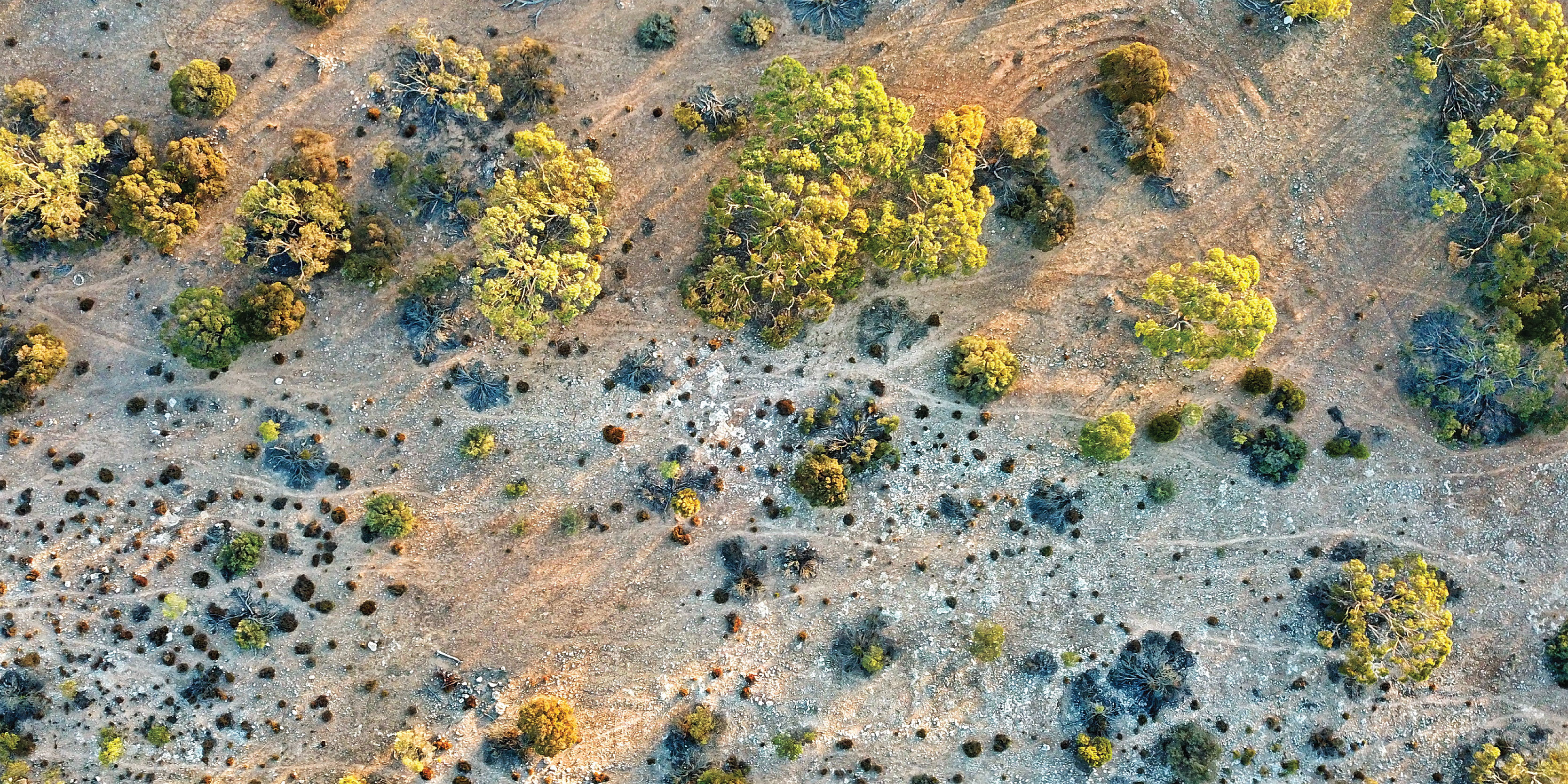 Drone-outback-01